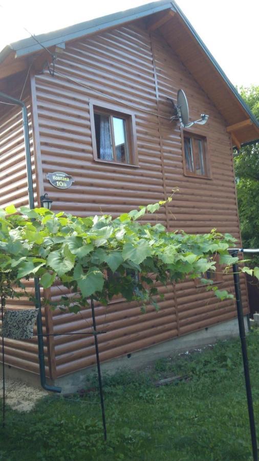 Базилік Hotel Yaremche Exterior photo